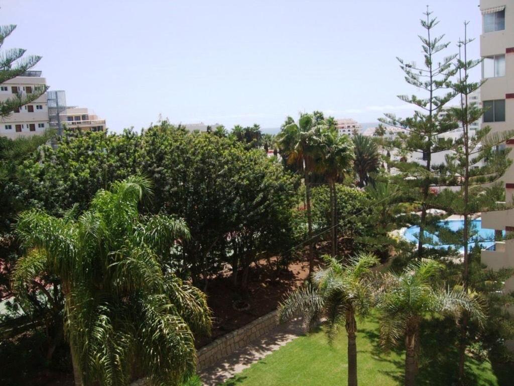 Apartment Americos El Dorado Playa de las Americas  Eksteriør bilde